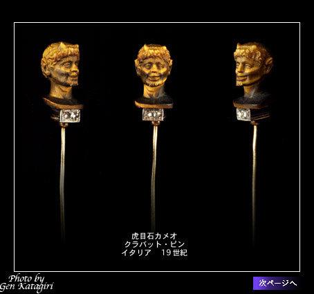 �^�C�K�[�A�C�@�Ֆڐ΂̃J���I�@�N���o�b�g�s��