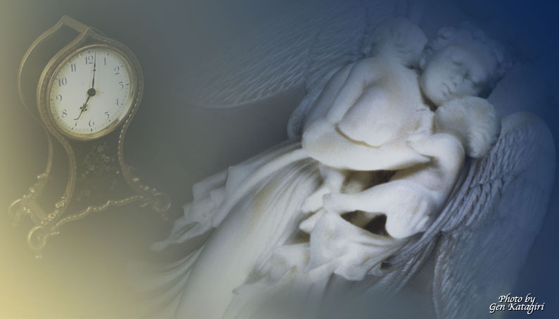 �V�F���E�J���I�@�ڍ� / Shell Cameo Detail