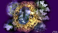 紫陽花の夢　パープルサファイヤ